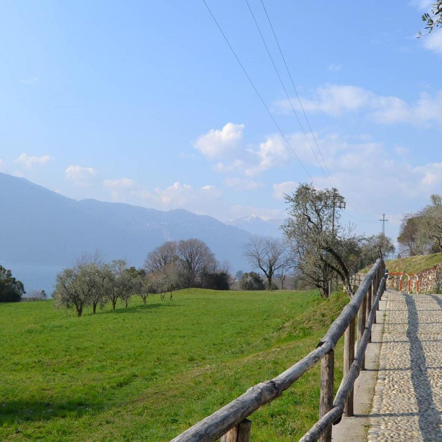 Villa La Cascina Della Vigna Del Viandante Abbadia Lariana Exterior foto