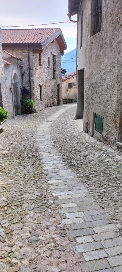 Villa La Cascina Della Vigna Del Viandante Abbadia Lariana Exterior foto